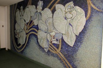 Městská galerie v Praze řeší, jak zachránit Orchideje sester Válových (zdroj: Novinky.cz)